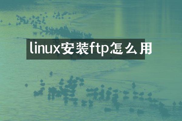 linux安装ftp怎么用