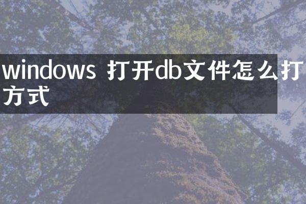 windows 打开db文件怎么打开方式