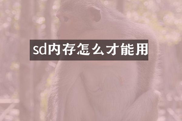sd内存怎么才能用