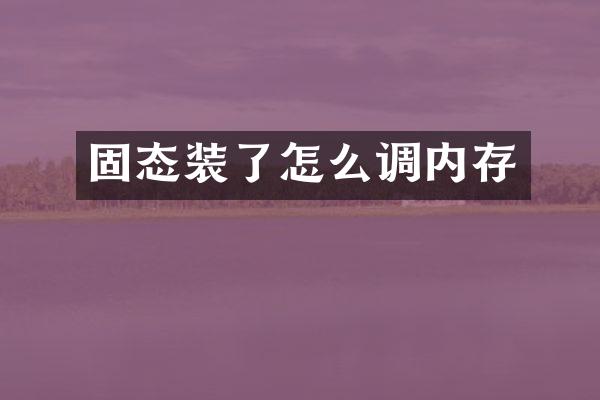 固态装了怎么调内存