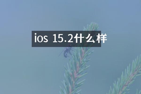 ios 15.2什么样