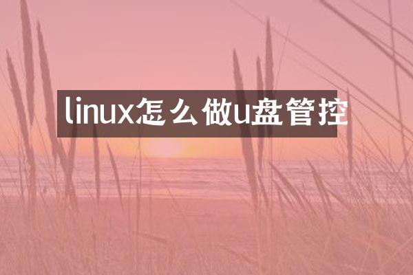 linux怎么做u盘管控