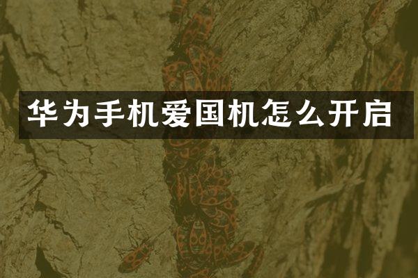 华为手机爱国机怎么开启