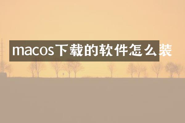 macos下载的软件怎么装