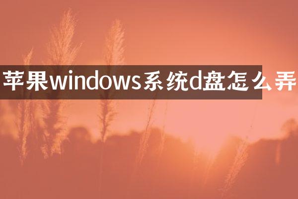 苹果windows系统d盘怎么弄