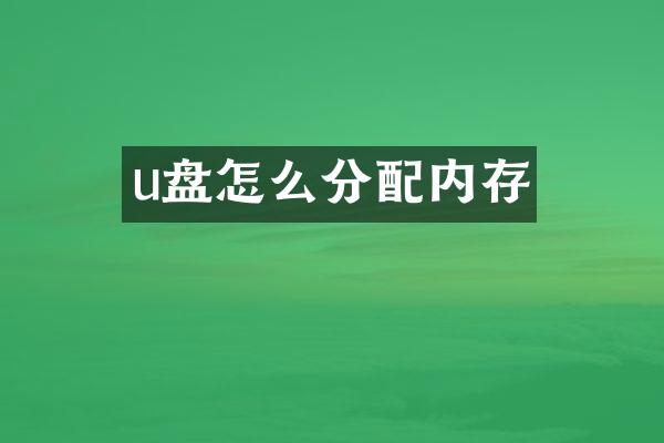 u盘怎么分配内存