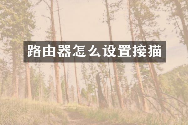 路由器怎么设置接猫