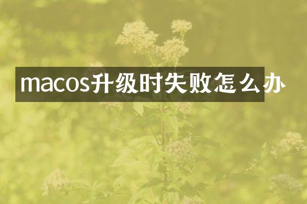 macos升级时失败怎么办