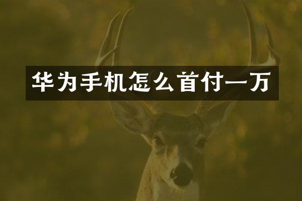 华为手机怎么首付一万
