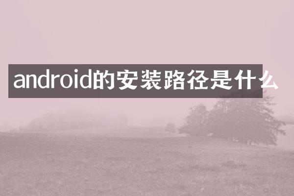 android的安装路径是什么