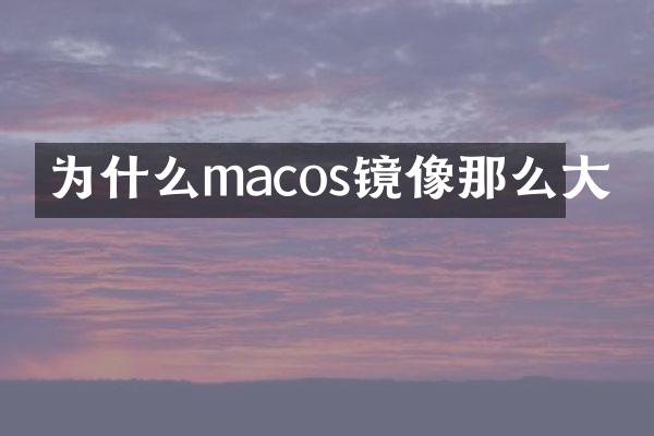 为什么macos镜像那么大