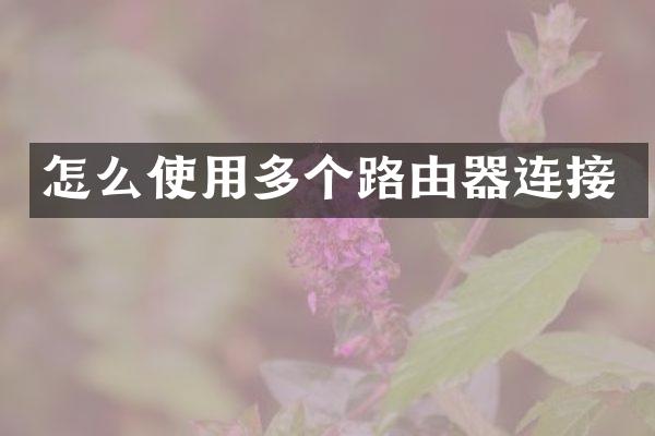 怎么使用多个路由器连接