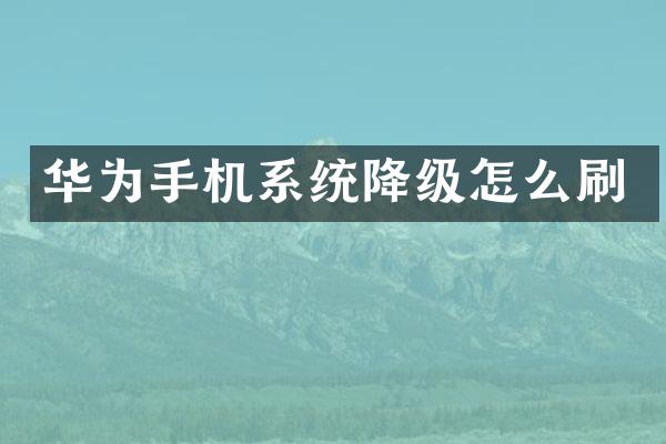 华为手机系统降级怎么刷