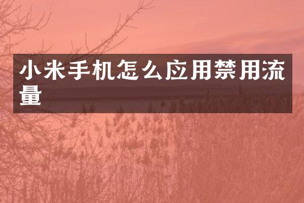 小米手机怎么应用禁用流量