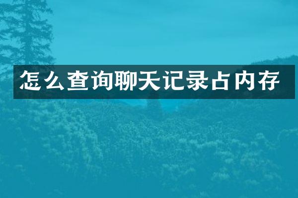 怎么查询聊天记录占内存
