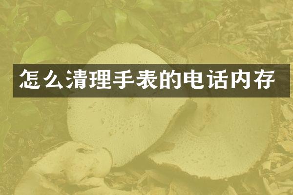 怎么清理手表的电话内存