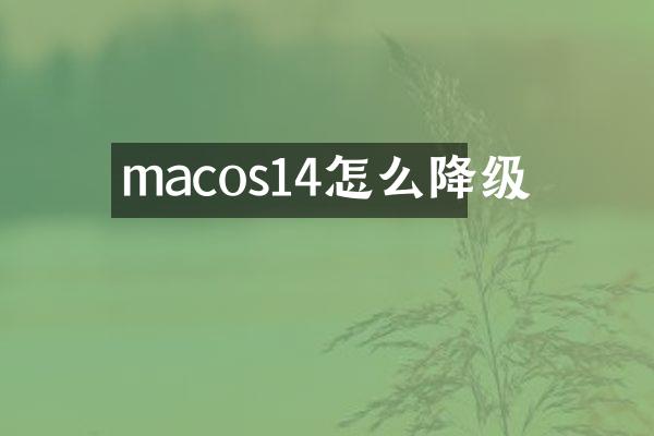 macos14怎么降级