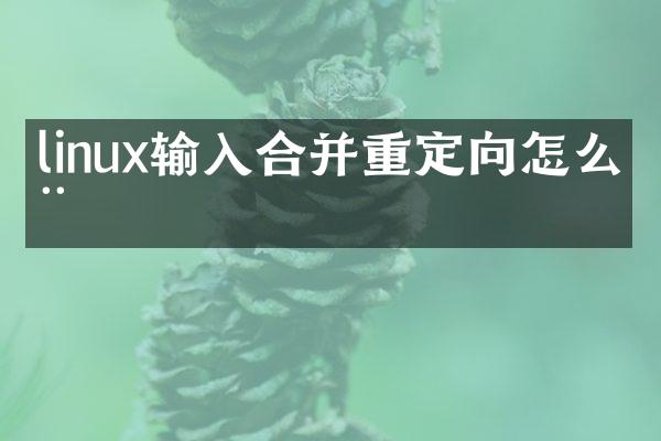 linux输入合并重定向怎么用