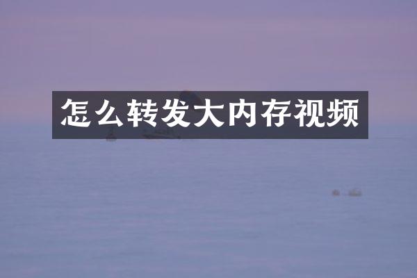怎么转发大内存视频