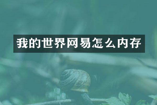 我的世界网易怎么内存