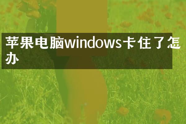 苹果电脑windows卡住了怎么办