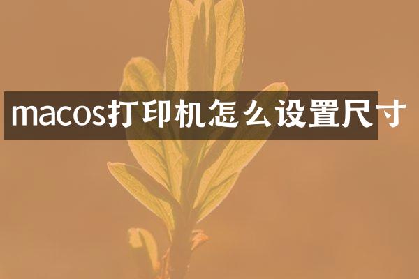 macos打印机怎么设置尺寸