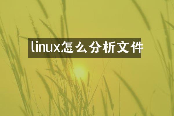 linux怎么分析文件