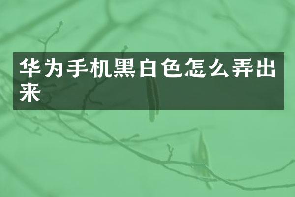 华为手机黑白色怎么弄出来