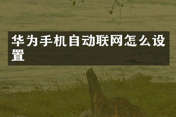 华为手机自动联网怎么设置