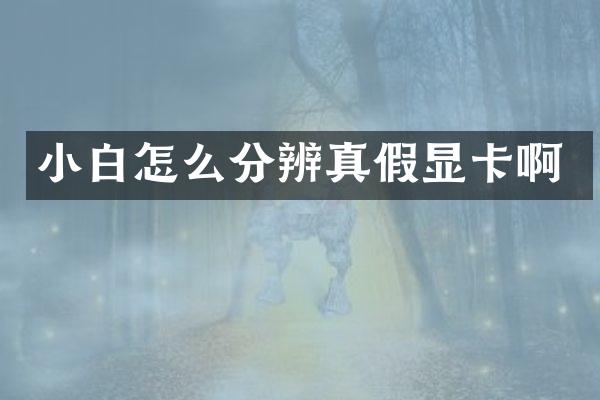 小白怎么分辨真假显卡啊