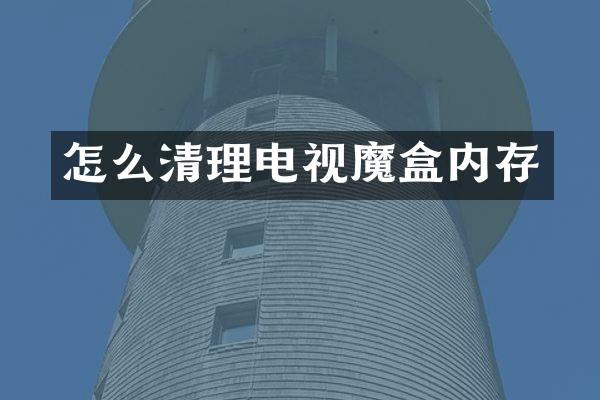 怎么清理电视魔盒内存