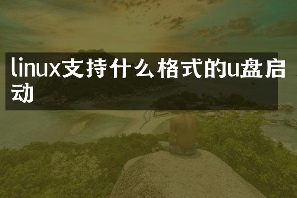 linux支持什么格式的u盘启动