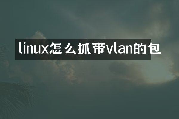 linux怎么抓带vlan的包