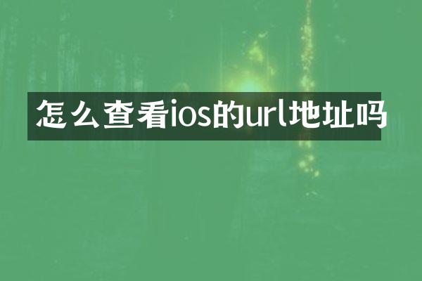 怎么查看ios的url地址吗