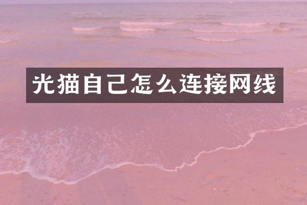 光猫自己怎么连接网线