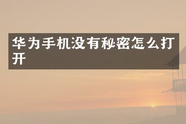 华为手机没有秘密怎么打开