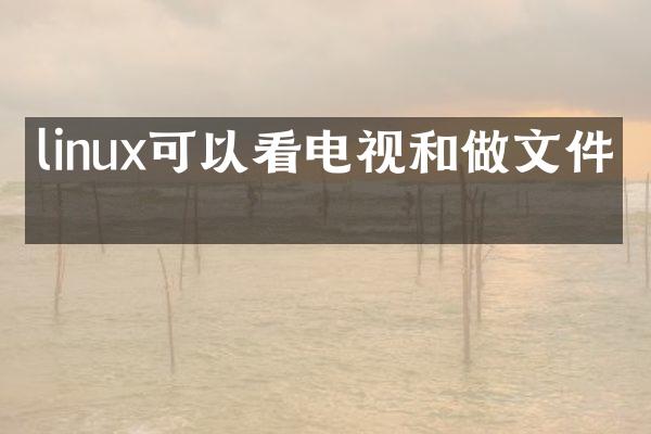linux可以看电视和做文件吗