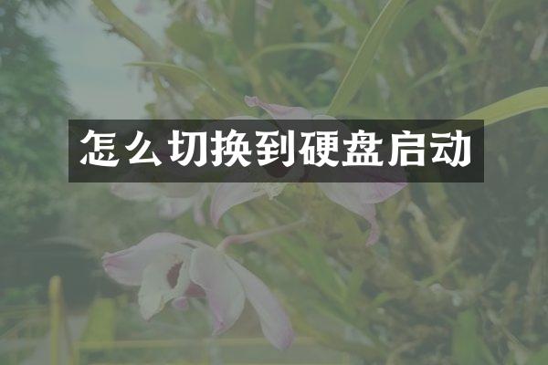 怎么切换到硬盘启动