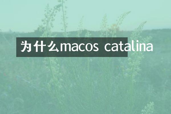 为什么macos catalina