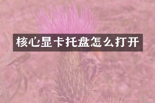 核心显卡托盘怎么打开