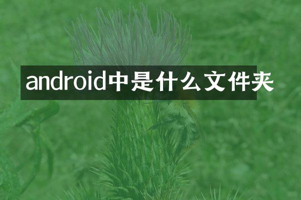 android中是什么文件夹