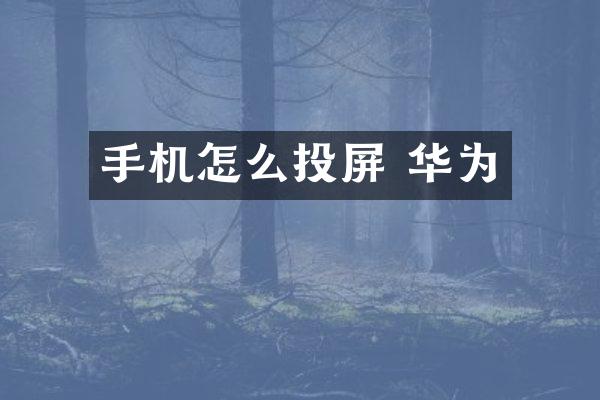 手机怎么投屏 华为