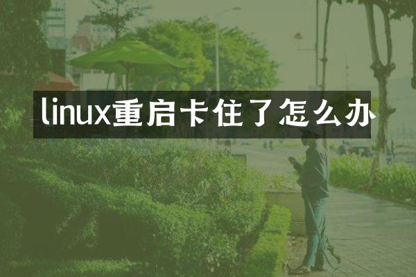 linux重启卡住了怎么办