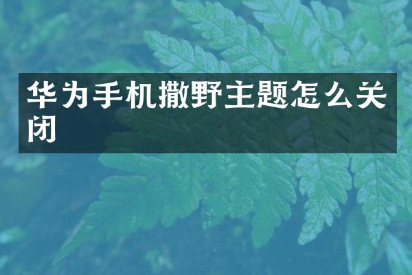 华为手机撒野主题怎么关闭