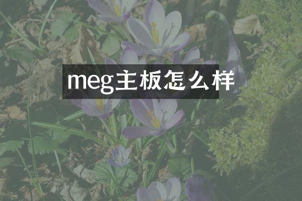 meg主板怎么样