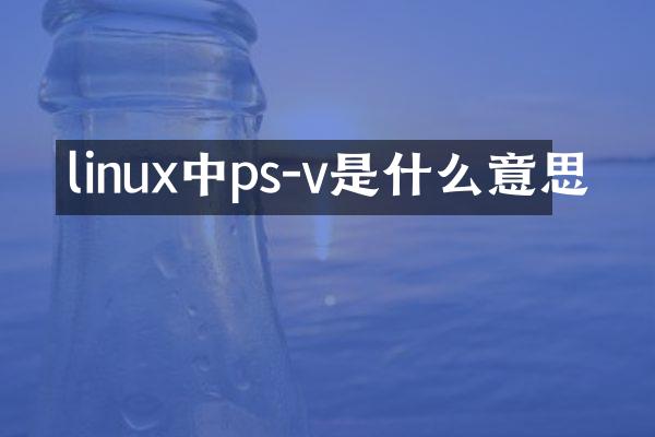 linux中ps-v是什么意思