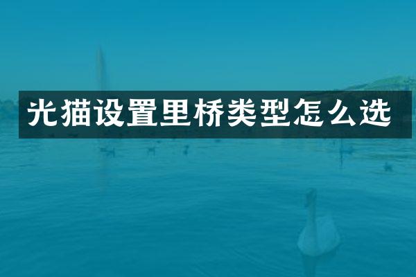 光猫设置里桥类型怎么选