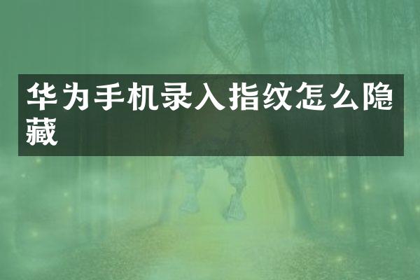 华为手机录入指纹怎么隐藏