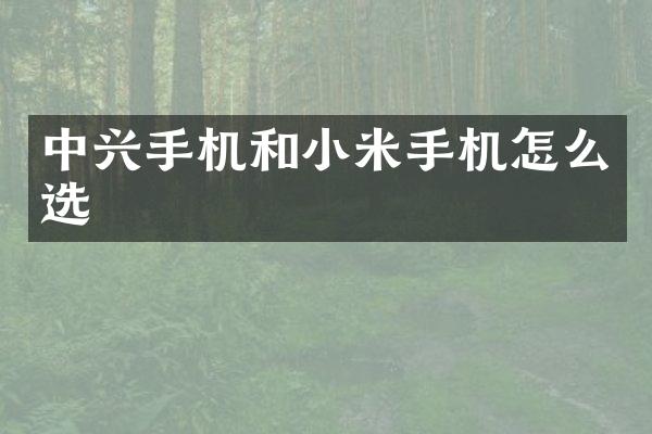中兴手机和小米手机怎么选
