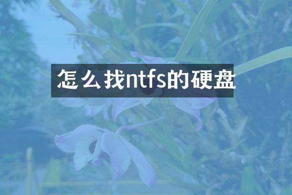 怎么找ntfs的硬盘